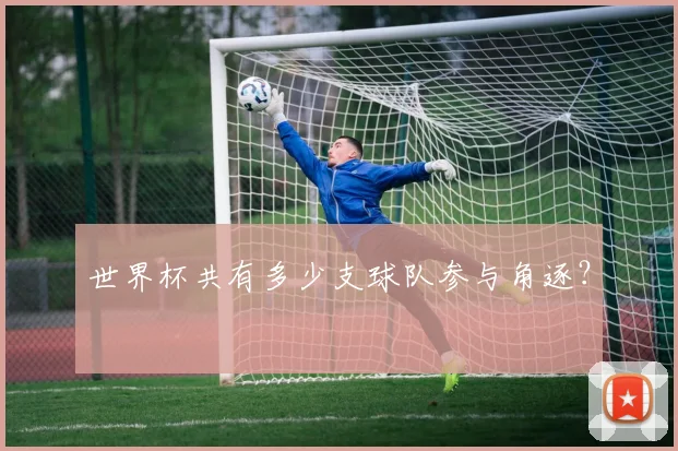 世界杯共有多少支球队参与角逐？