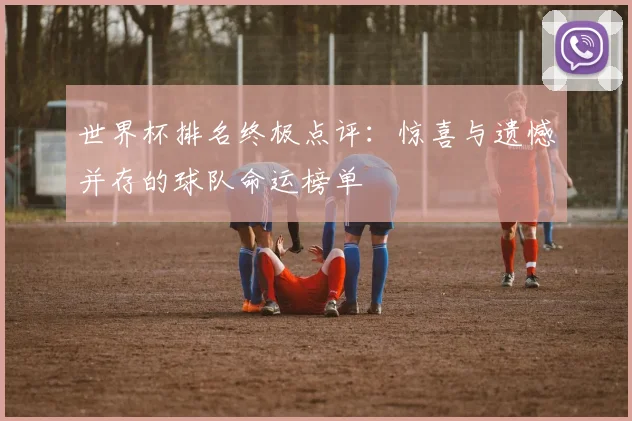 世界杯排名终极点评：惊喜与遗憾并存的球队命运榜单
