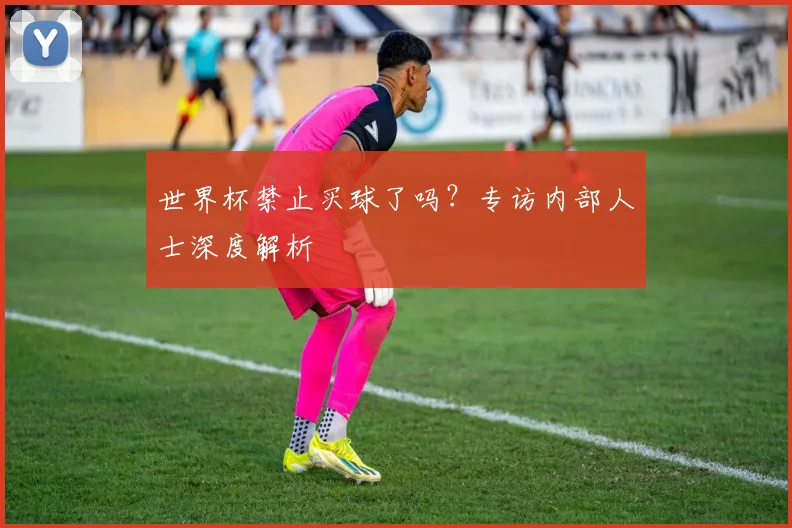 世界杯禁止买球了吗？专访内部人士深度解析